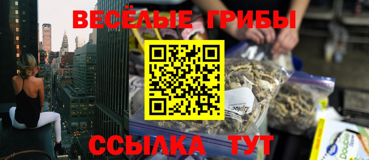 Барабинск  Псилоцибиновые грибы мухоморы  Вход с VPN 